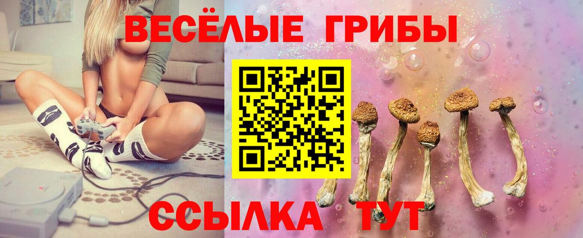 Галлюциногенные грибы мицелий  Галлюциногенные грибы ЛСД  сколько стоит  Вход с VPN  Нижнеудинск 