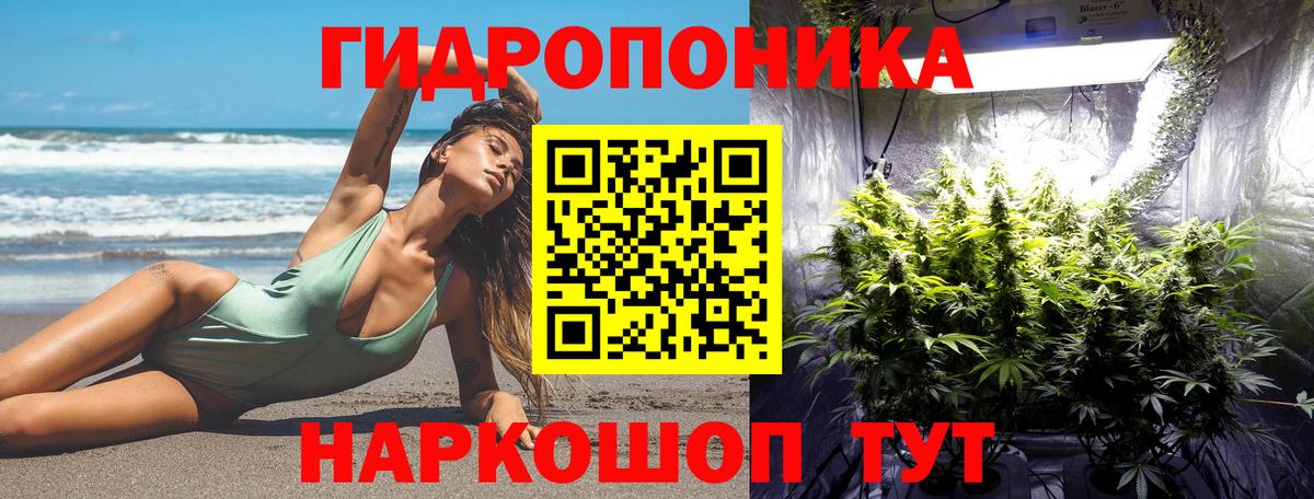 Нижнеудинск  Бошки марихуана тримм  Канабис THC 21%  Вход с VPN  Бошки Шишки тримм  Каннабис план 
